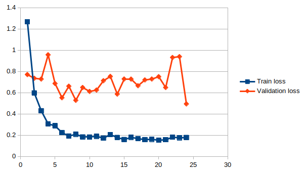 Train process, validation and train loss curve