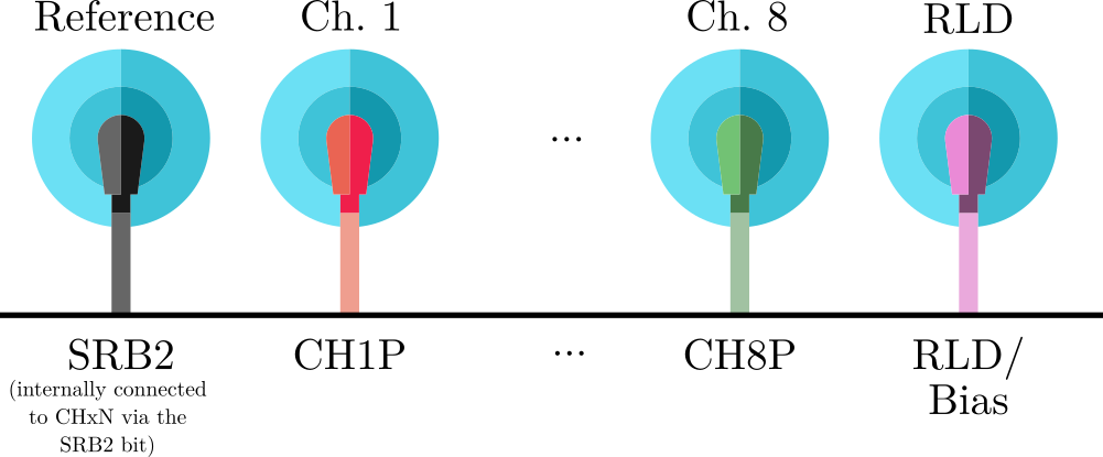 Diagram of the electrodes wiring for the single-ended mode with the ADS1299 family of ADCs.